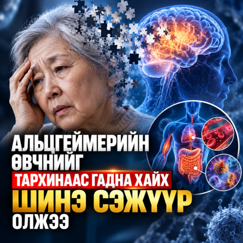 Альцгеймерийн өвчнийг тархинаас гадна хайх шинэ сэжүүр олжээ